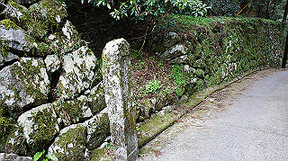 dsc00067_thumb.jpg