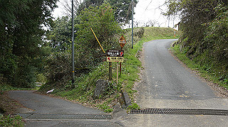 dsc00105_thumb.jpg
