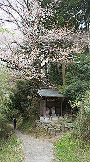 dsc00108_thumb.jpg