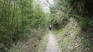 dsc00109_thumb.jpg