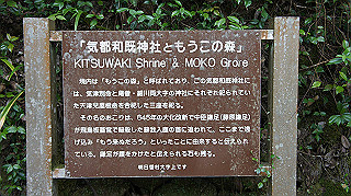 dsc00116_thumb.jpg