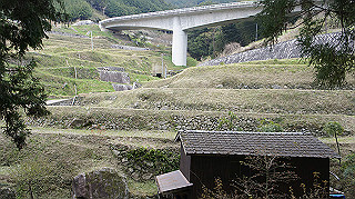 dsc00118_thumb.jpg