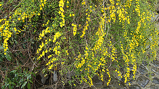 dsc00120_thumb.jpg