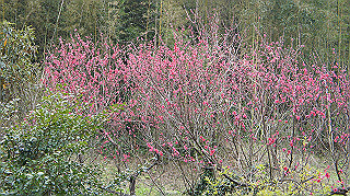 dsc00122_thumb.jpg