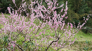 dsc00123_thumb.jpg