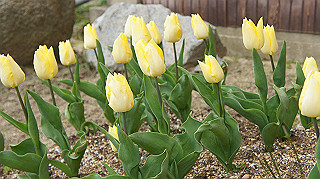 dsc00124_thumb.jpg