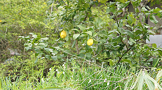 dsc00128_thumb.jpg