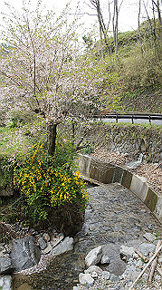 dsc00132_thumb.jpg