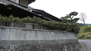 dsc00134_thumb.jpg