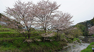 dsc00135_thumb.jpg