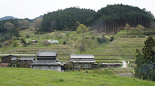 dsc00141_thumb.jpg