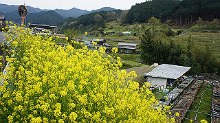 dsc00142_thumb.jpg