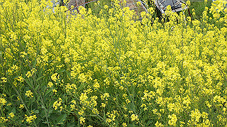 dsc00143_thumb.jpg