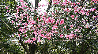 dsc00149_thumb.jpg