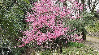 dsc00151_thumb.jpg