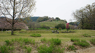 dsc00156_thumb.jpg