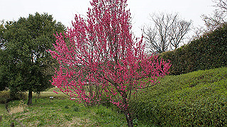 dsc00161_thumb.jpg