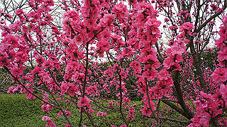 dsc00162_thumb.jpg