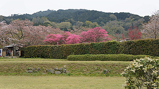 dsc00163_thumb.jpg