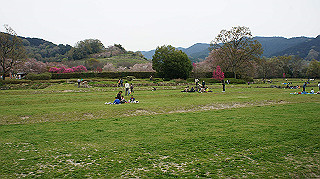 dsc00164_thumb.jpg