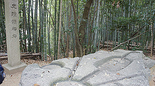 dsc00178_thumb.jpg