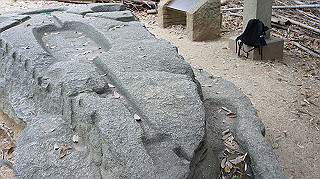 dsc00181_thumb.jpg