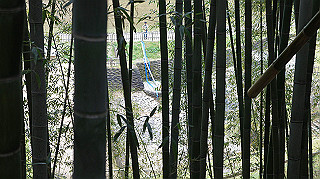 dsc00185_thumb.jpg