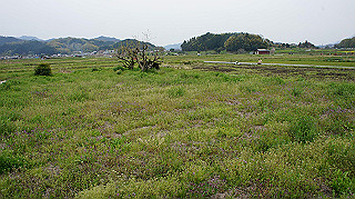 dsc00196_thumb.jpg