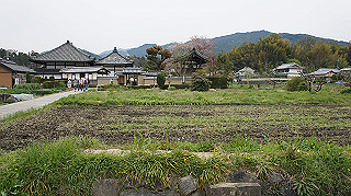 dsc00198_thumb.jpg