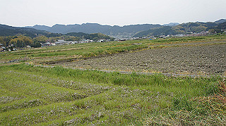 dsc00204_thumb.jpg