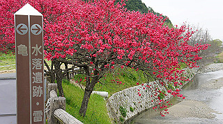 dsc00206_thumb.jpg