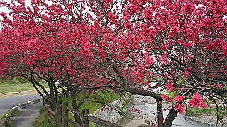 dsc00207_thumb.jpg