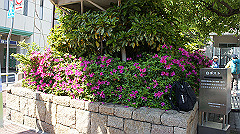 dsc00003_thumb.jpg