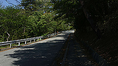 dsc00007_thumb.jpg