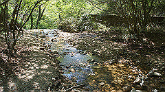 dsc00013_thumb.jpg
