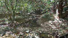dsc00014_thumb.jpg