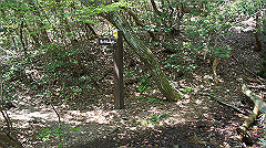 dsc00015_thumb.jpg
