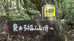 dsc00016_thumb.jpg
