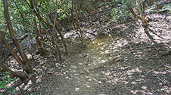 dsc00017_thumb.jpg
