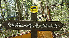 dsc00022_thumb.jpg