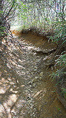 dsc00023_thumb.jpg