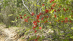 dsc00025_thumb.jpg