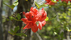 dsc00026_thumb.jpg