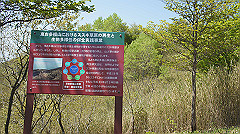 dsc00027_thumb.jpg