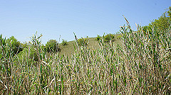 dsc00029_thumb.jpg