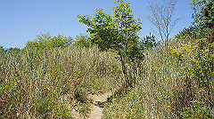 dsc00033_thumb.jpg