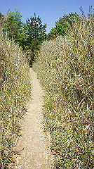 dsc00034_thumb.jpg