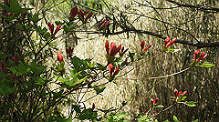 dsc00035_thumb.jpg