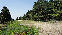 dsc00037_thumb.jpg