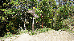 dsc00038_thumb.jpg